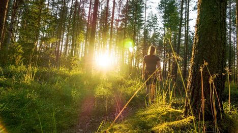 Laadukas huoneilma Helsinki
